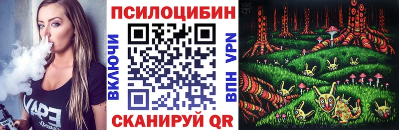 OMG как войти  купить  сайты  Мосальск  Галлюциногенные грибы MAGIC MUSHROOMS 